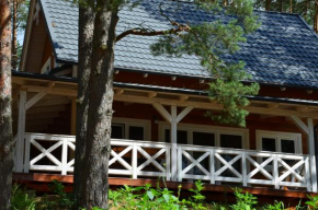 Отель Domki Kaszuby - jezioro las i zoo w Szarlocie  Косцежина